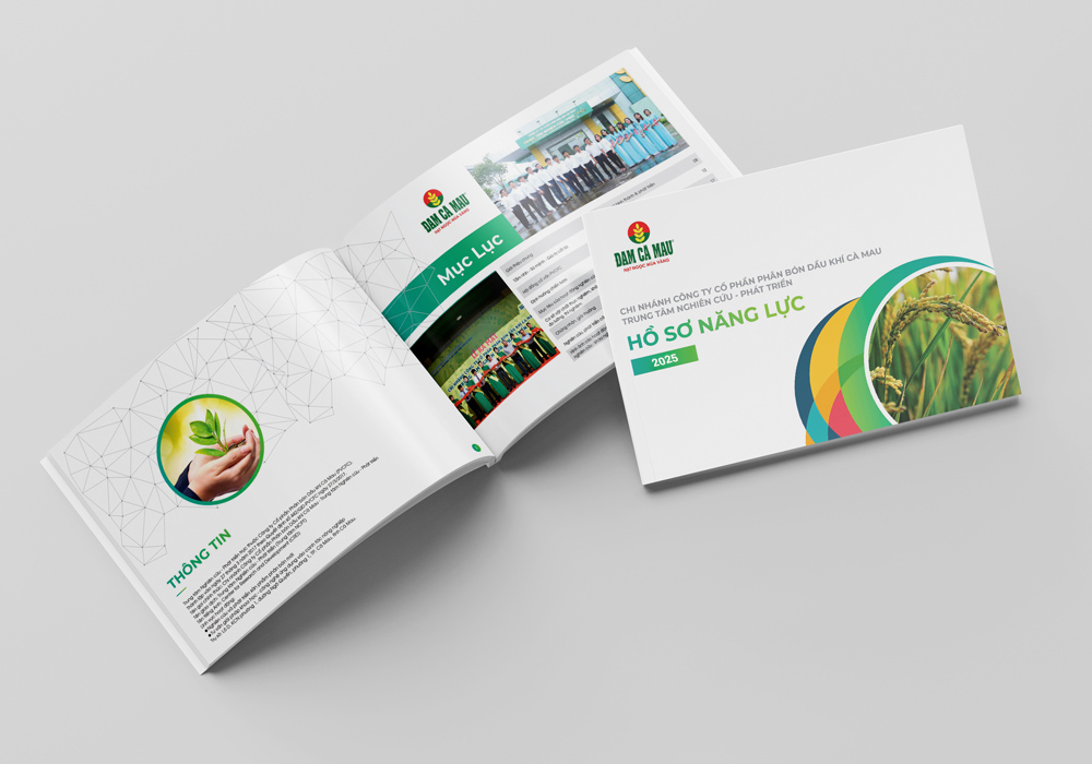 Bảo Phát Branding
