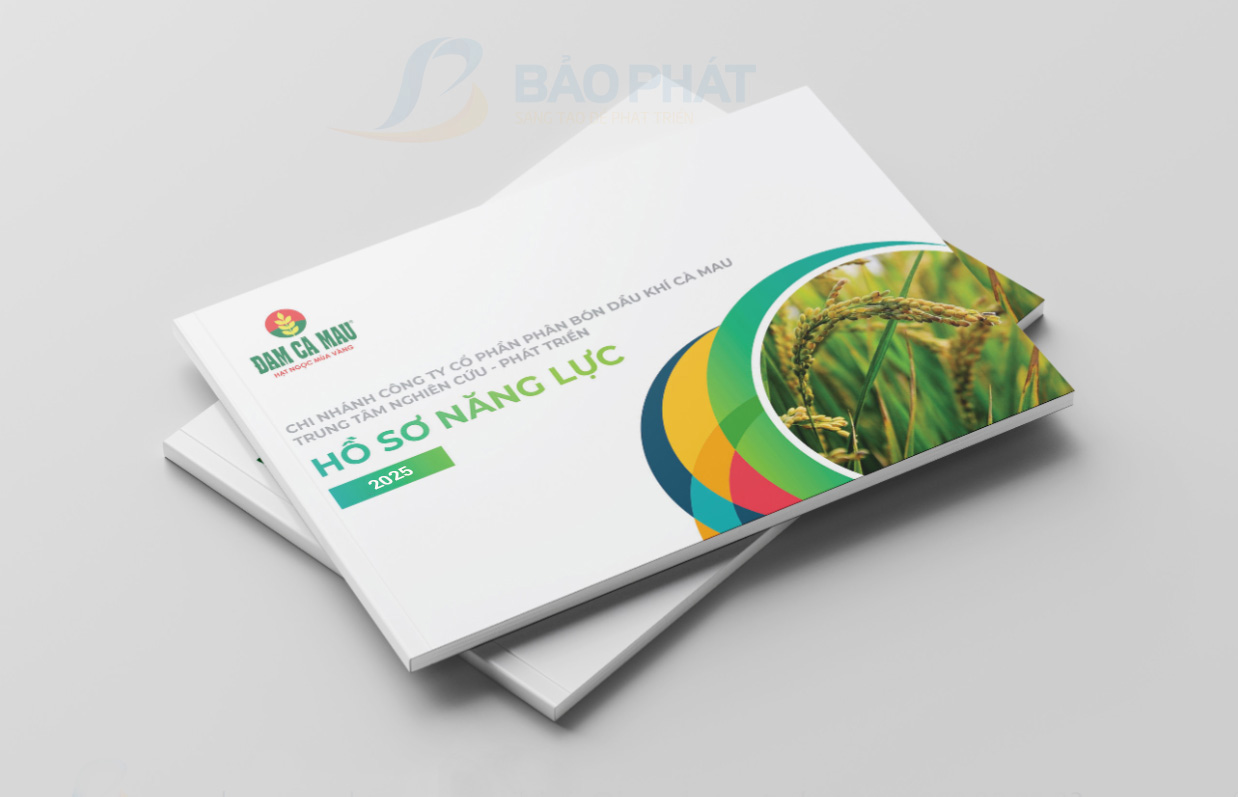 Dự án nhận diện thương hiệu đạm cà mau