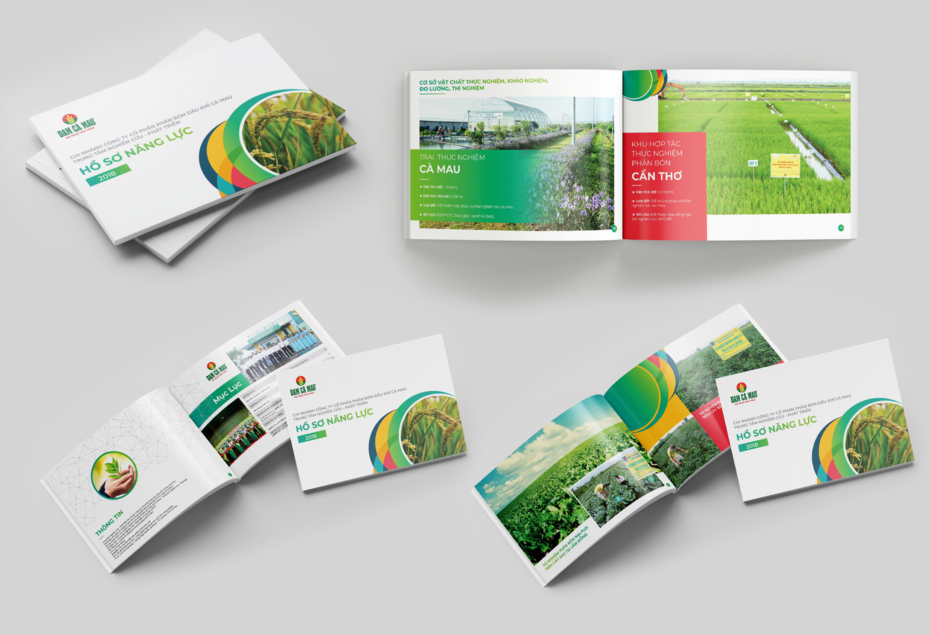 Thiết kế logo nhận diện thương hiệu công Ty Đạm Cà Mau