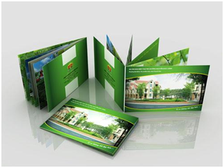 thiet_ke_catalogue