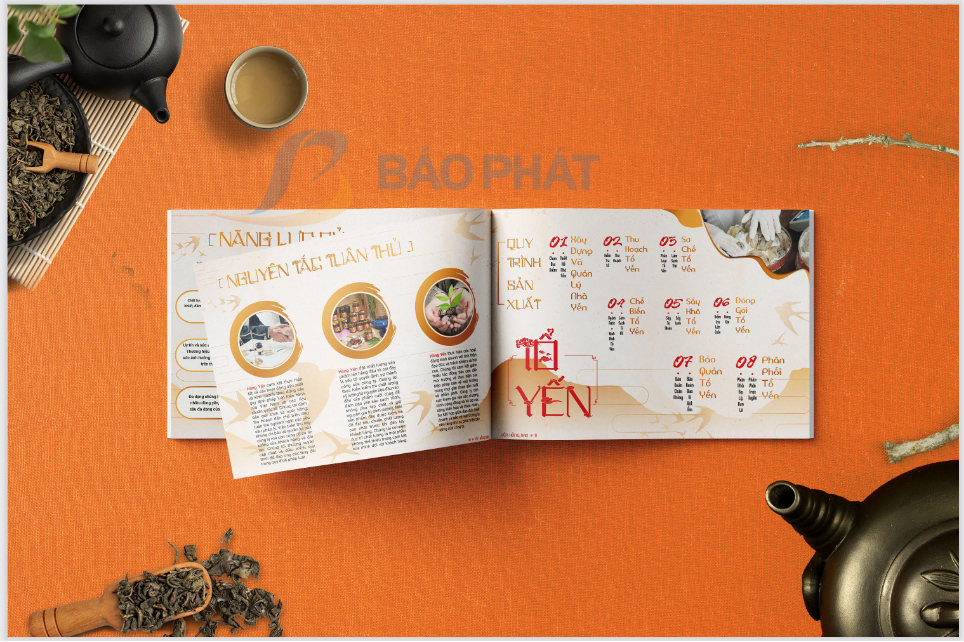 Hồ sơ năng lực công ty yến sào