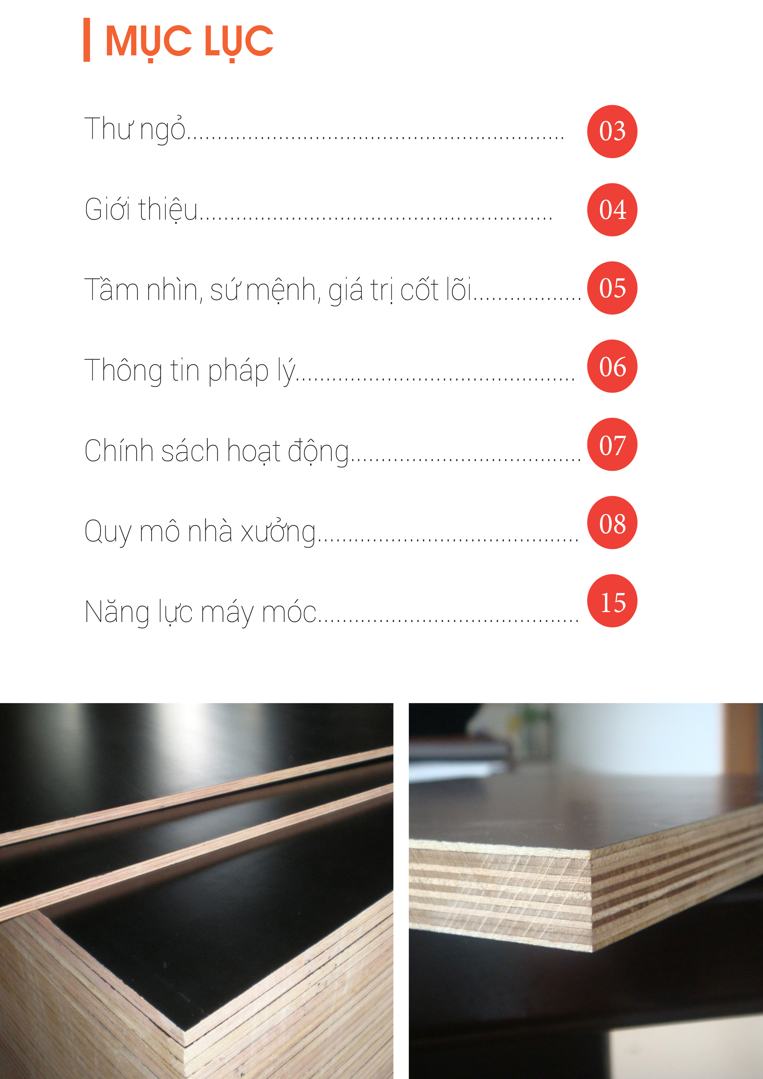 hsnl_hoa_linh2