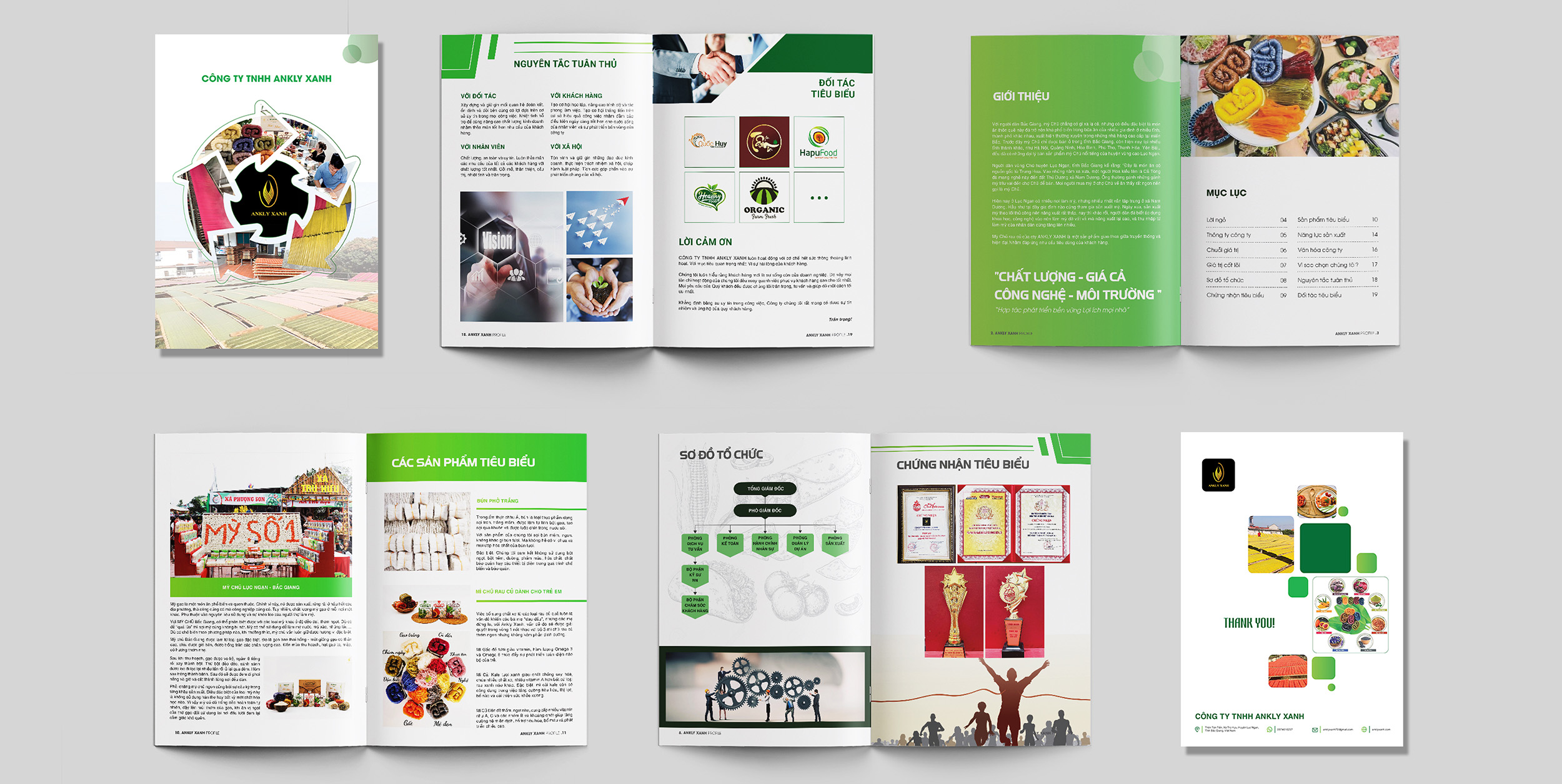 Thiết kế brochure
