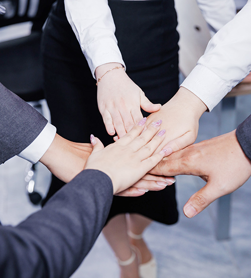 Nhân viên Bảo Phát làm việc
