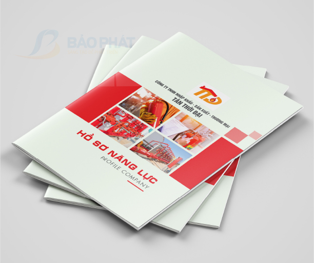 Hồ Sơ Năng Lực Công Ty TNHH Nhập Khẩu-Sản Xuất-Thương Mại Tân Thời Đại
