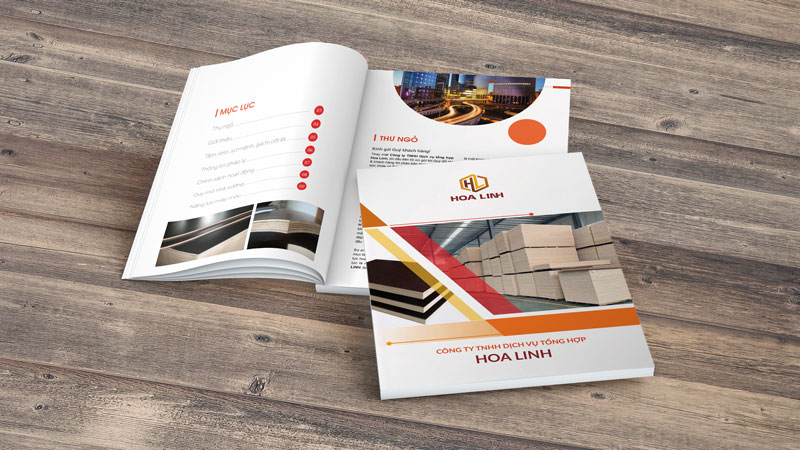 Hồ Sơ Năng Lực Công Ty Dịch Vụ Tổng Hợp Hoa Linh