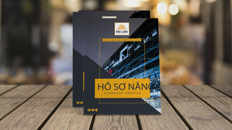 Hồ Sơ Năng Lực Công Ty Thương Mại Và Xây Dựng Bảo Long