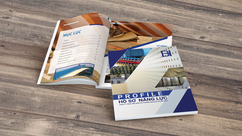 Hồ Sơ Năng Lực Công Ty Thương Mại Và Dịch Vụ Huy Bảo