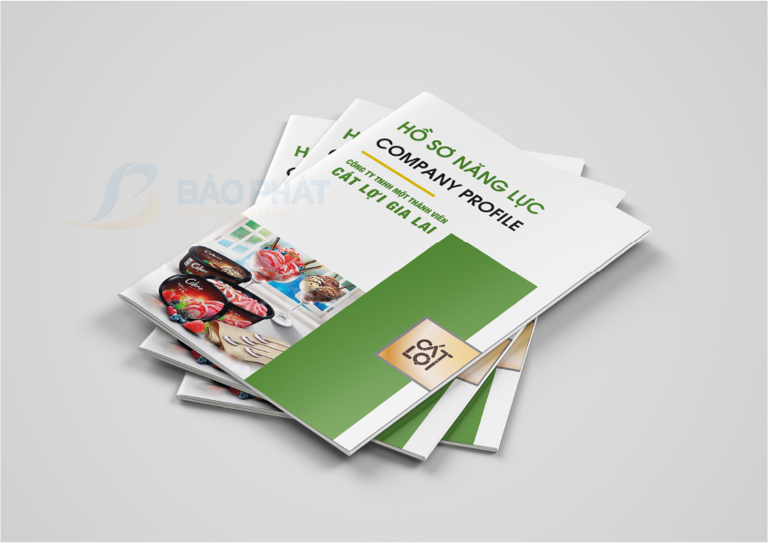 Hồ Sơ Năng Lực/ Profile Công Ty Bánh Kẹo CALO
