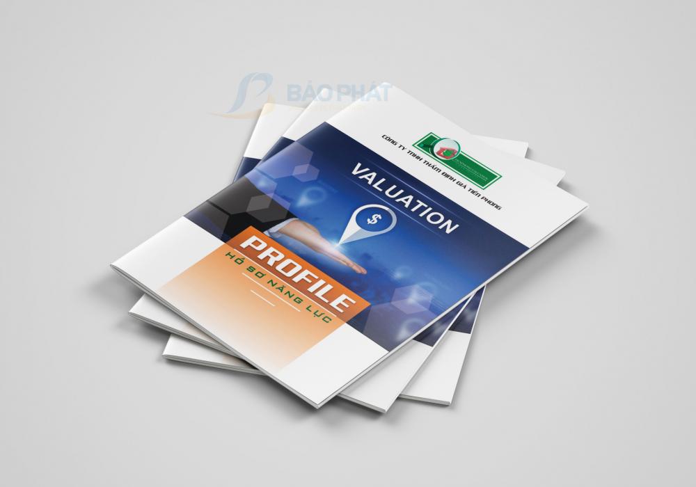 Hồ Sơ Năng Lực Công Ty Thẩm Định Giá TP