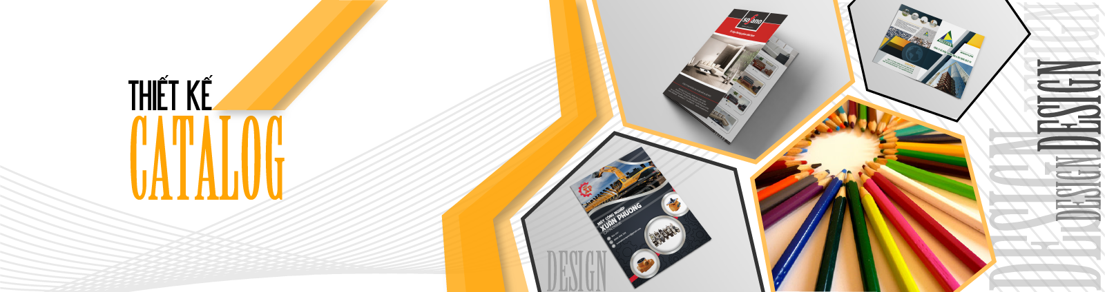 Thiết kế Catalogue